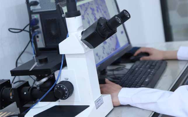 metallographic examination