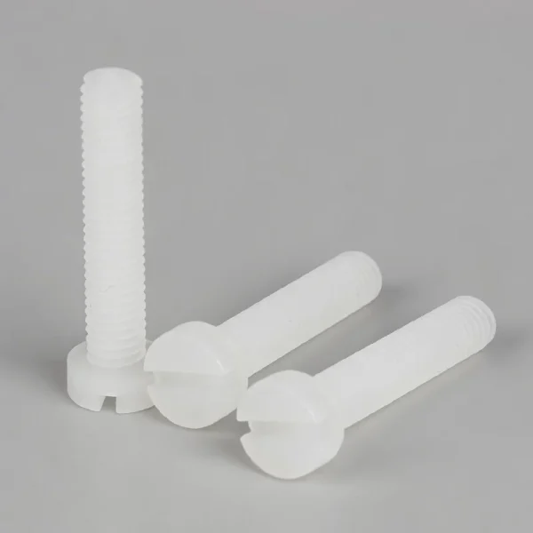 PVDF Slotted Cylindrical Head Screws